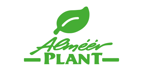 Almeerplant 5